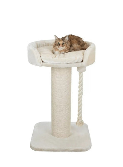 Collection image for: Krabpalen