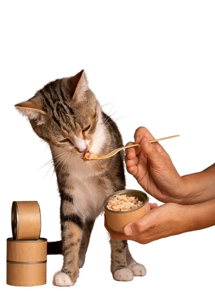 Collection image for: Natvoer