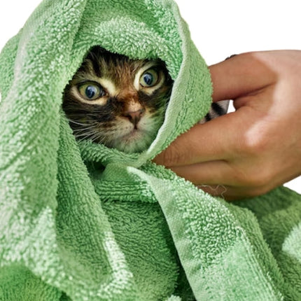 Collection image for: Shampoo