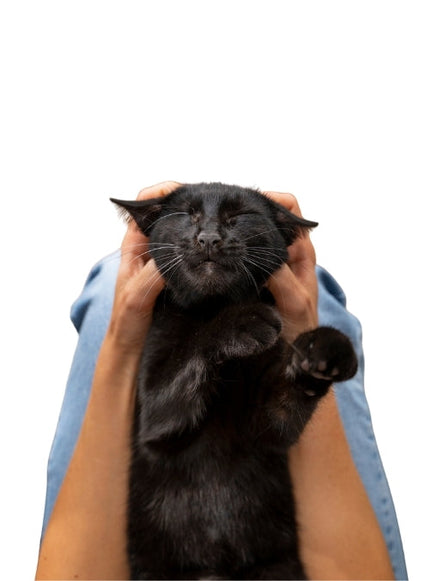 Collection image for: Verzorging