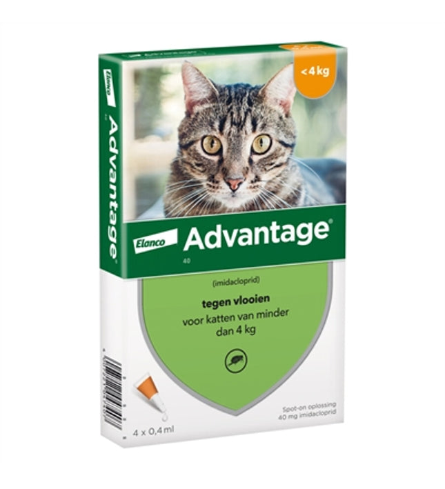 Elanco Advantage Kat