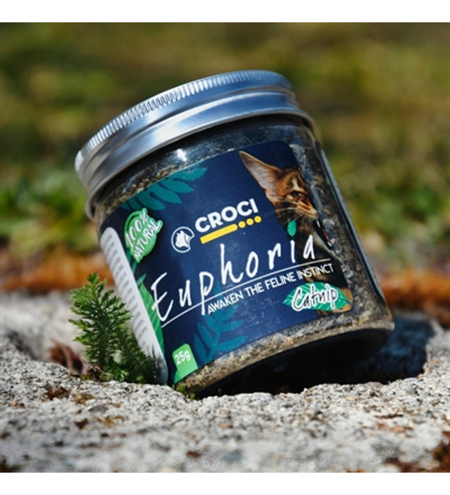 Croci Euphoria Catnip Pot