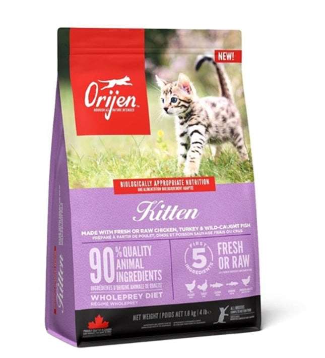 Orijen Kitten