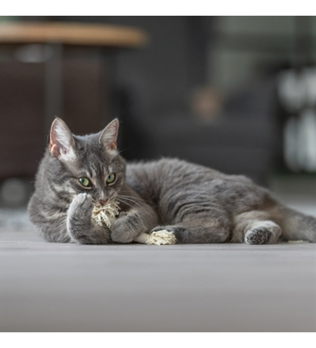 Trixie Speeltouw Met Franjes Assorti