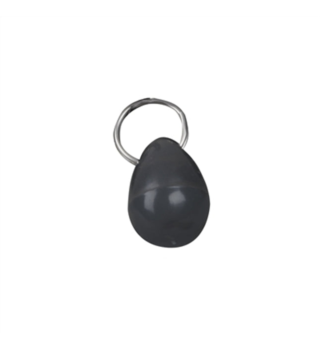 Petsafe Halsbandsleutel / Magneet