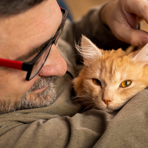 <h2>Verzorgingingsproducten</h2>